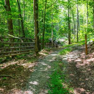 39_adventure_mountain_rd-28