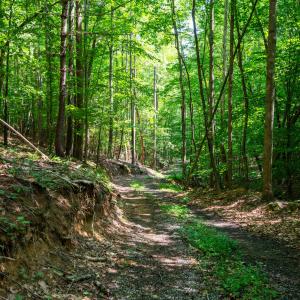 40_adventure_mountain_rd-29