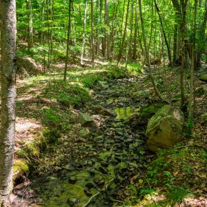 42_adventure_mountain_rd-32