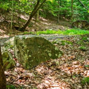 44_adventure_mountain_rd-34