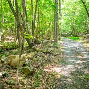 45_adventure_mountain_rd-36