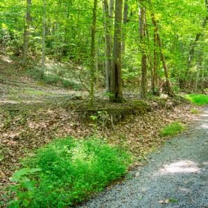 46_adventure_mountain_rd-37