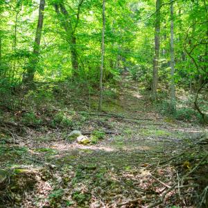 47_adventure_mountain_rd-38
