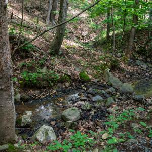 48_adventure_mountain_rd-40