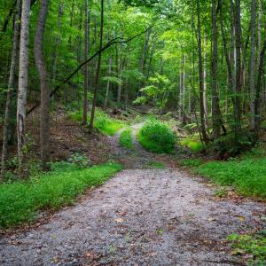 50_adventure_mountain_rd-42