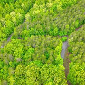 Lot 60 Old Barn Road (9)