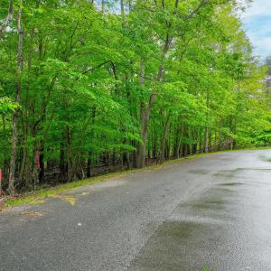 Lot 60 Old Barn Road (13)