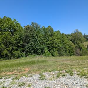 PXL_20260520_151109720