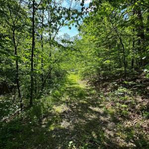 land for sale in shawsville va 1