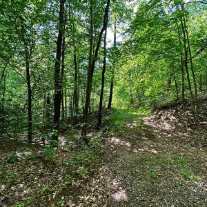 land for sale in shawsville va 3