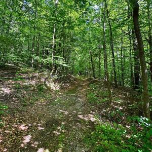 land for sale in shawsville va 4
