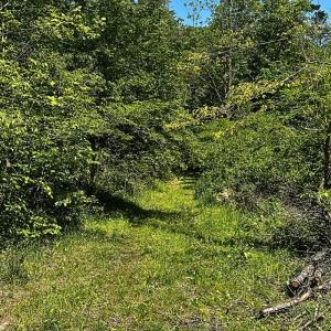 land for sale in shawsville va 8