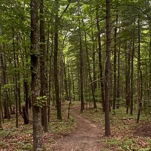 land for sale in shawsville va 22