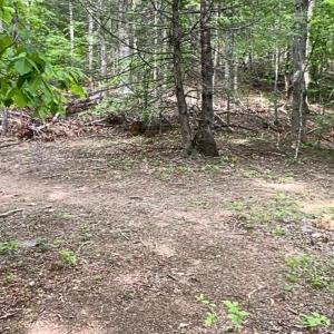 land for sale in shawsville va 24 (1)