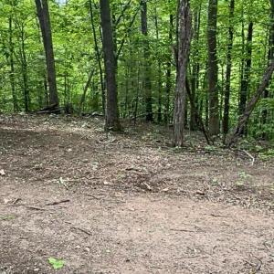 land for sale in shawsville va 24