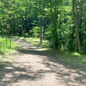 land for sale in shawsville va 25