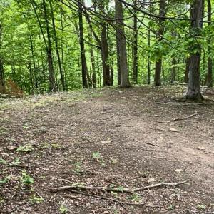 land for sale in shawsville va 26