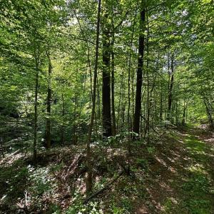 land for sale in shawsville va 28