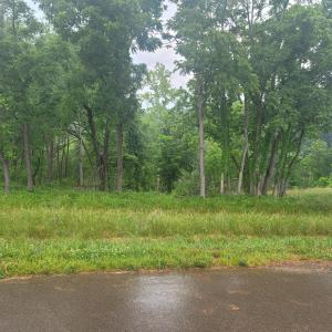 Lot 9 Photo
