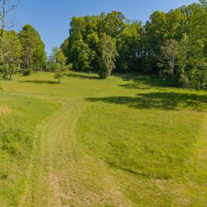 copper hill-1
