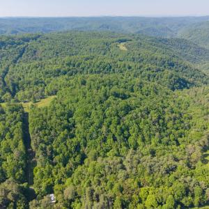copper hill-12