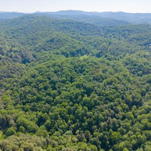 copper hill-19
