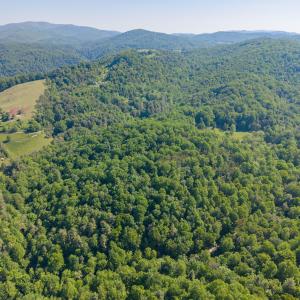 copper hill-22