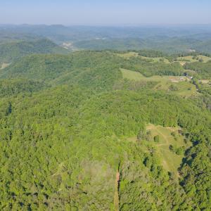 copper hill-29