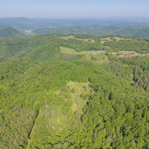 copper hill-30