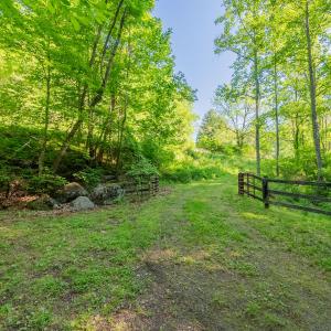 copper hill-46