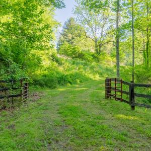 copper hill-47