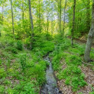 copper hill-48