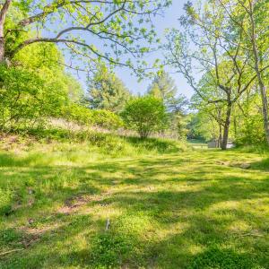 copper hill-51