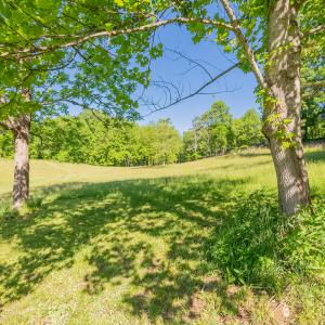 copper hill-80