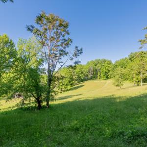 copper hill-85