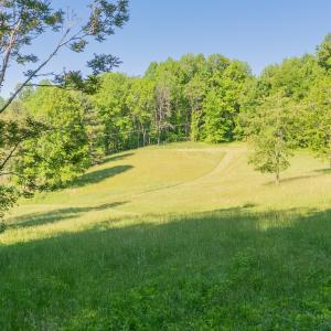 copper hill-86