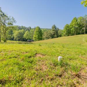 copper hill-101