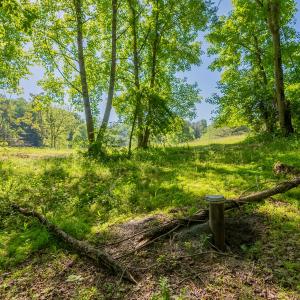 copper hill-106