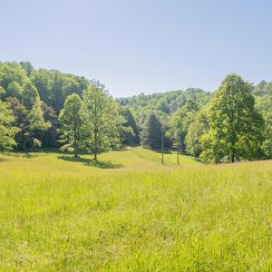copper hill-108