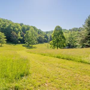 copper hill-109