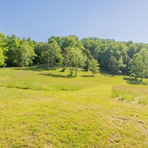copper hill-111