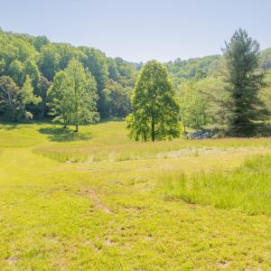 copper hill-112