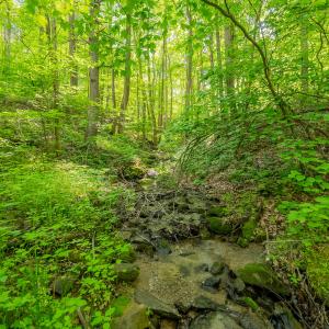 copper hill-143