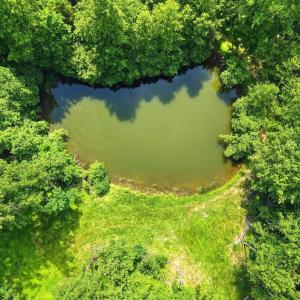 Photo #2 of JORDAN HOLLOW RD, STANLEY, VA 56.6 acres