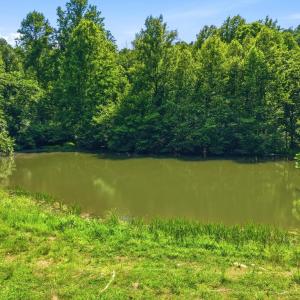 Photo #3 of JORDAN HOLLOW RD, STANLEY, VA 56.6 acres