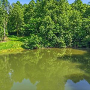 Photo #4 of JORDAN HOLLOW RD, STANLEY, VA 56.6 acres