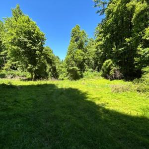Photo #9 of JORDAN HOLLOW RD, STANLEY, VA 56.6 acres