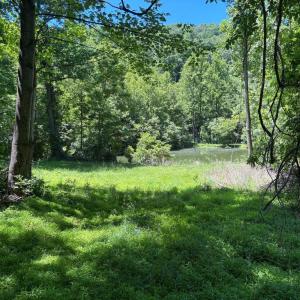 Photo #10 of JORDAN HOLLOW RD, STANLEY, VA 56.6 acres