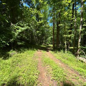 Photo #11 of JORDAN HOLLOW RD, STANLEY, VA 56.6 acres