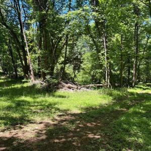 Photo #12 of JORDAN HOLLOW RD, STANLEY, VA 56.6 acres